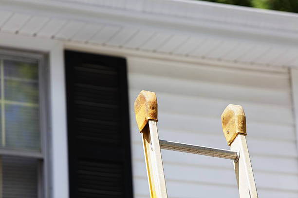 Professional Siding Installation & Repair in Schofield, WI